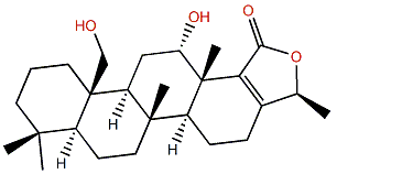 Lendenfeldarane C